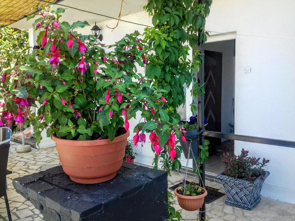 Apartment Little Princess Dora Senj  Exterior foto